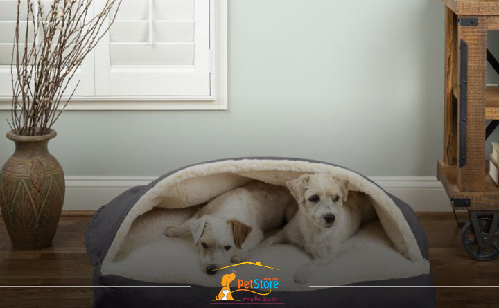 تخت مدل غار سگ از انواع تخت