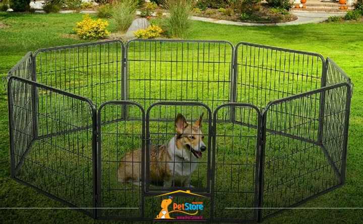 پارک بازی ساده از انواع پارک بازی سگ