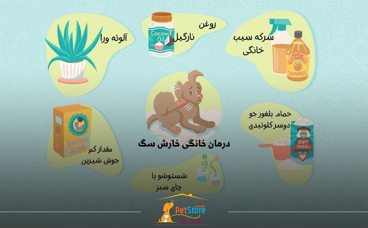 خارش بدن سگ 