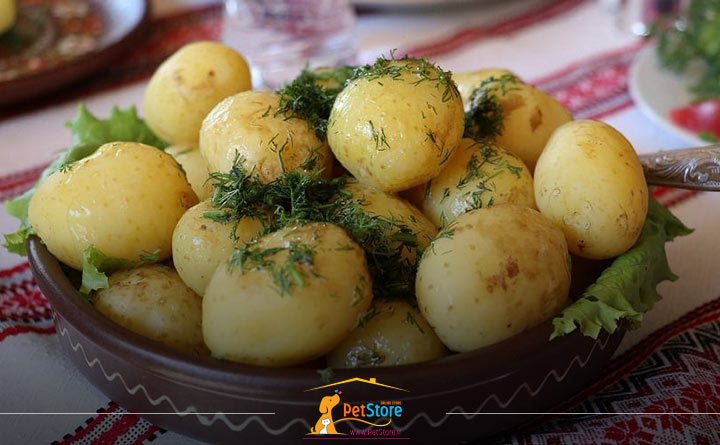 سیب زمینی پخته شده برای گربه