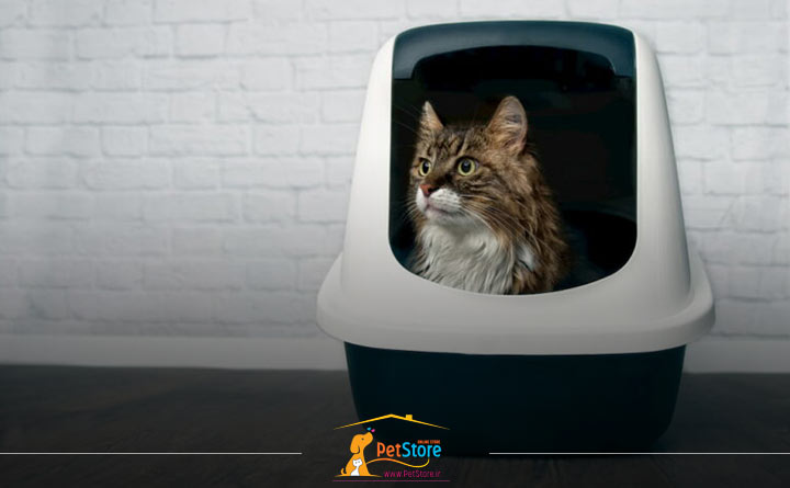 استفاده از جعبه زباله پس از جراحی