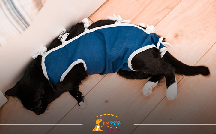 درد گربه پس از جراحی