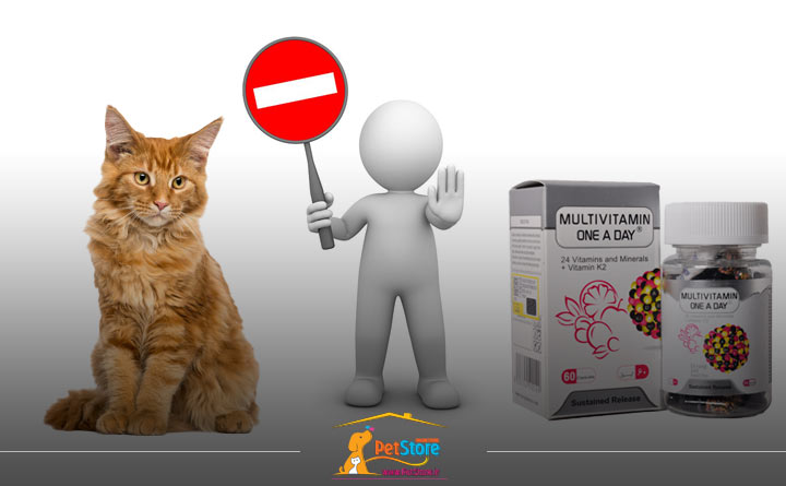 عدم استفاده از مولتی ویتامین انسان‌ها برای گربه