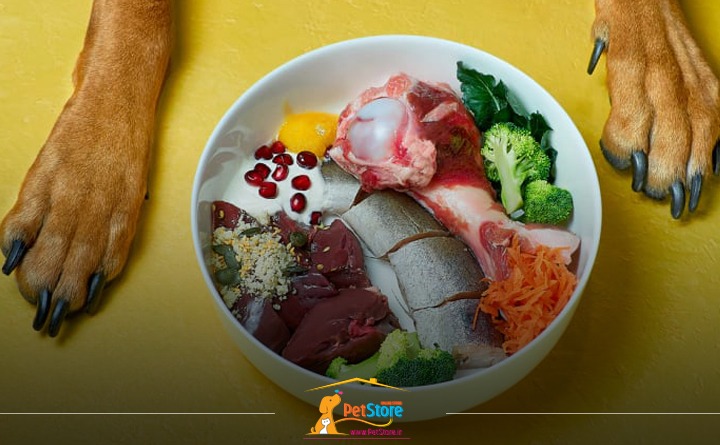 مواد غذایی مورد نیاز سگ