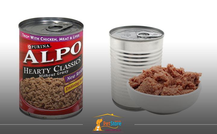 قوطی پوچ سگ 