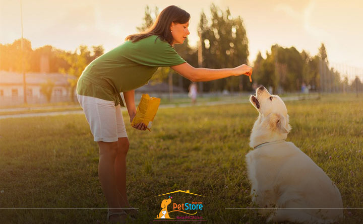 آموزش دادن به توله سگ برای گاز نگرفتن