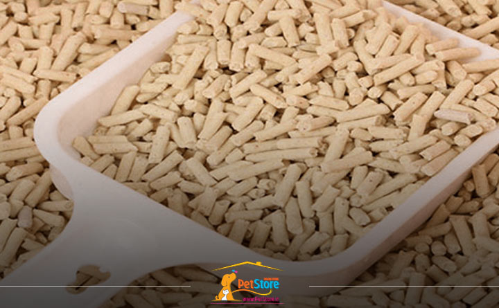 آشنایی با خاک گربه