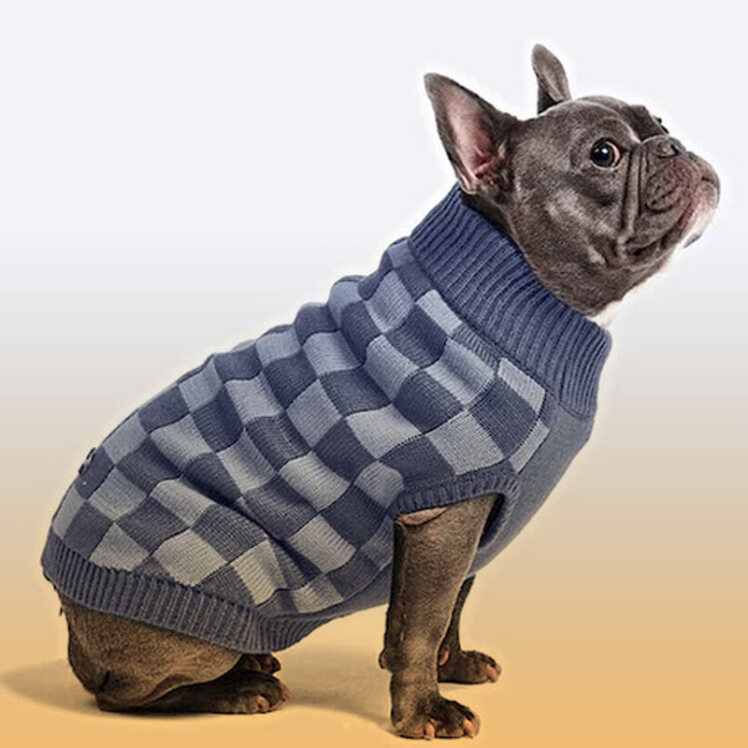  راهنمای خرید لباس و حوله سگ