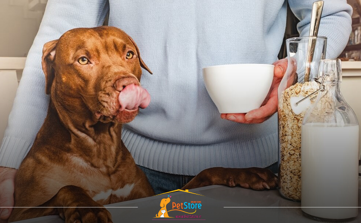 مواد بدون لاکتوز برای سگ ها