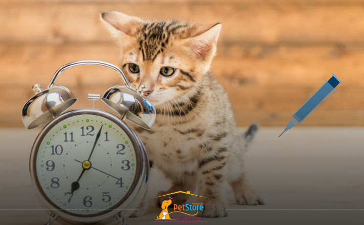 برنامه واکسیناسیون بچه گربه 